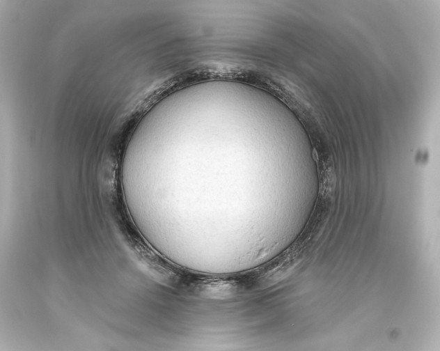 X0000093560456200711051041