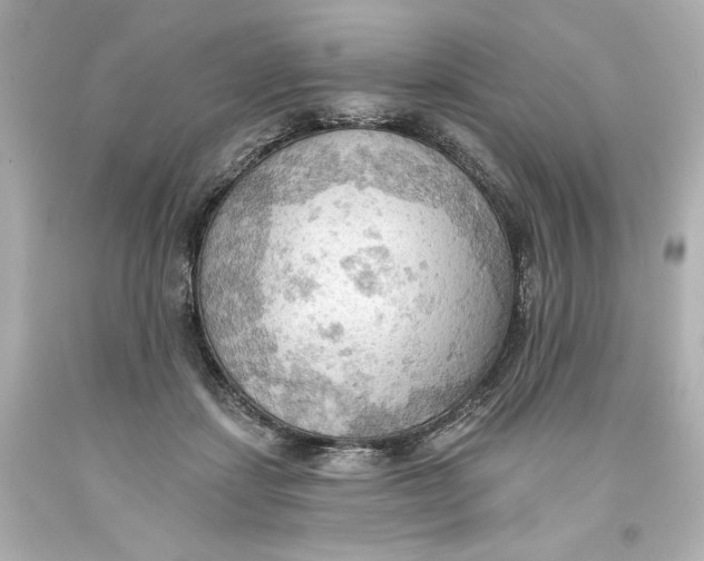 X0000093560459200711051041