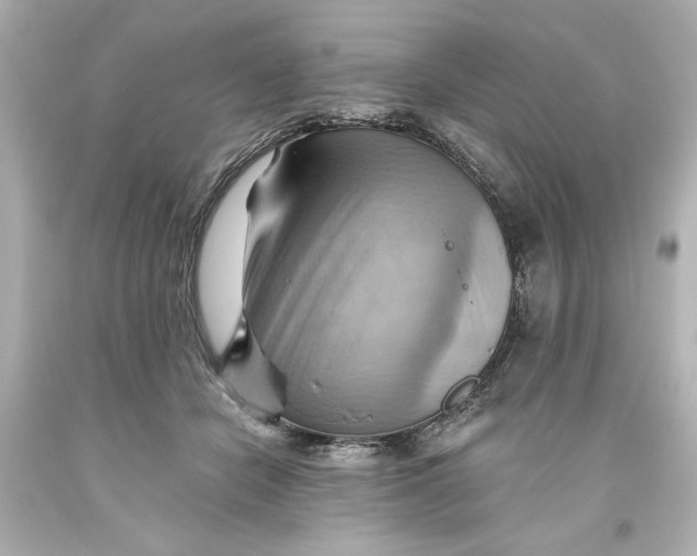 X0000093560462200711051041