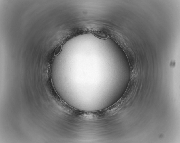 X0000093560464200711051041