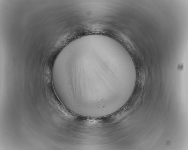 X0000093560465200711051041