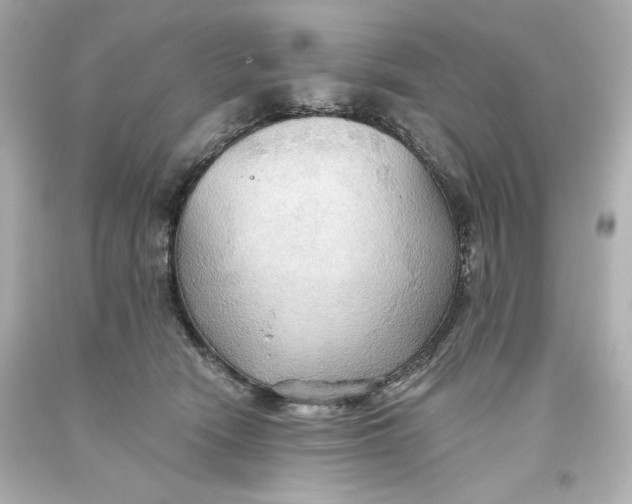 X0000093560466200711051041