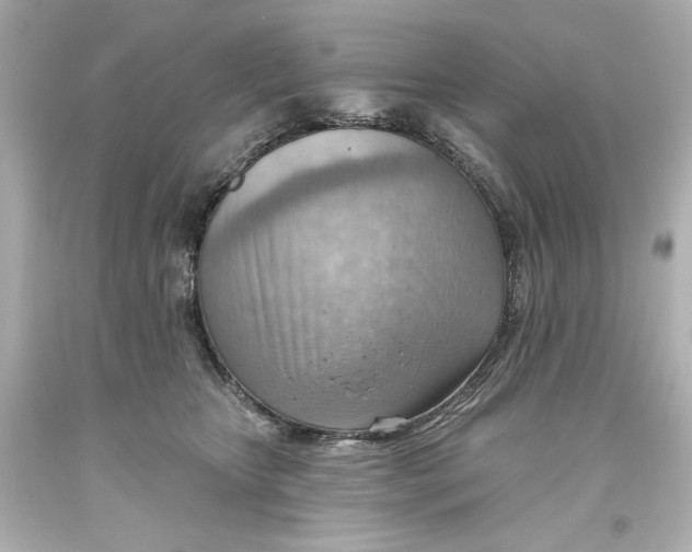 X0000093560467200711051041