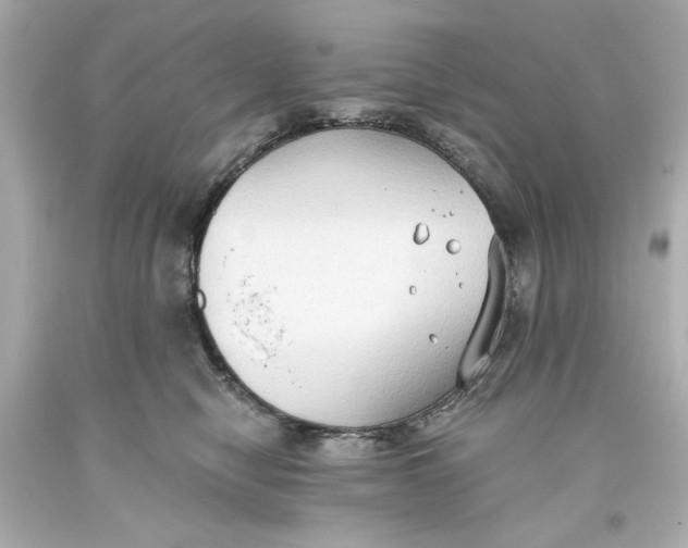 X0000093560470200711051041