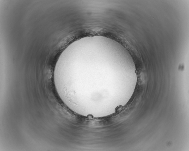 X0000093560472200711051041