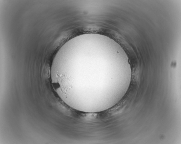 X0000093560474200711051041