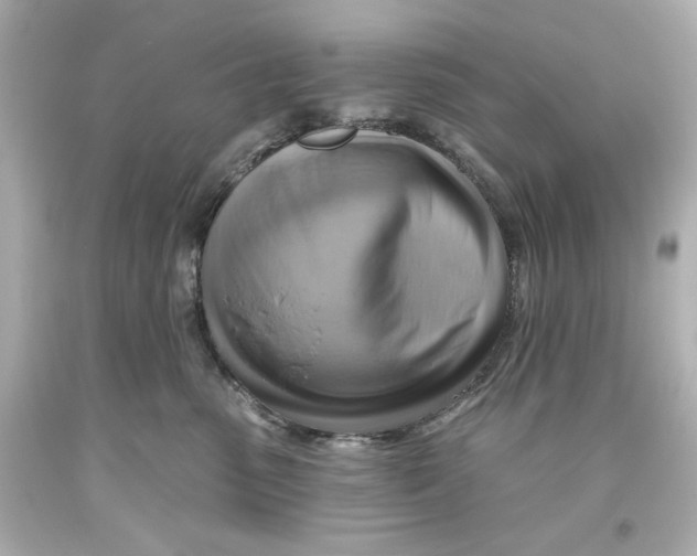 X0000093560475200711051041