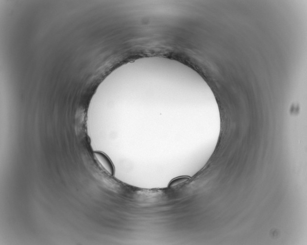 X0000093560480200711051041