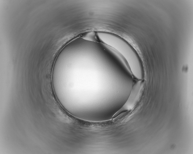 X0000093560481200711051040