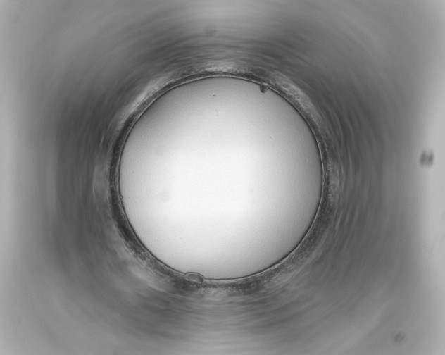 X0000093560482200711051040