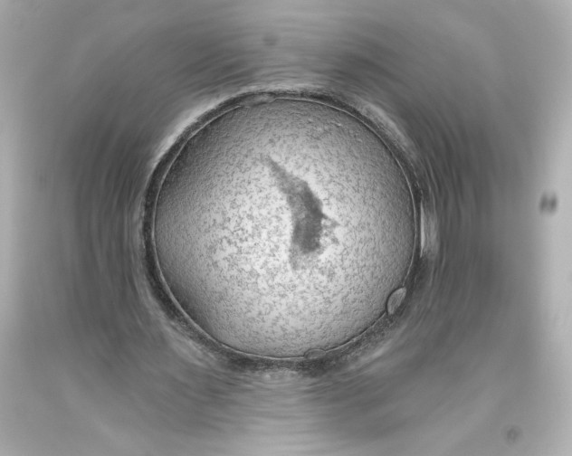 X0000093560483200711051040