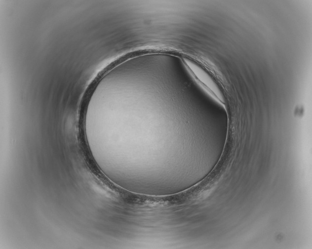 X0000093560484200711051040