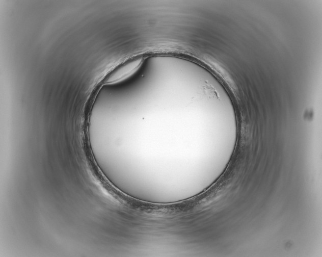 X0000093560485200711051040