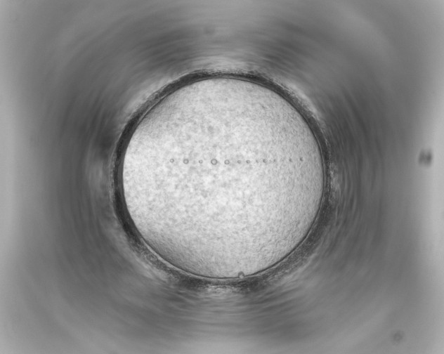 X0000093560487200711051040