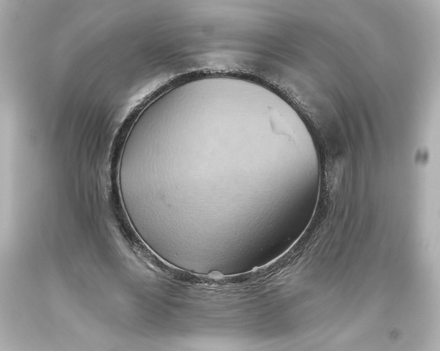 X0000093560488200711051040