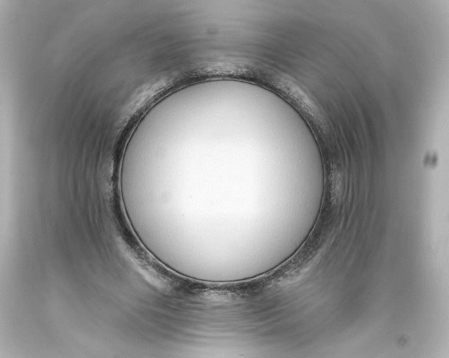 X0000093560490200711051040