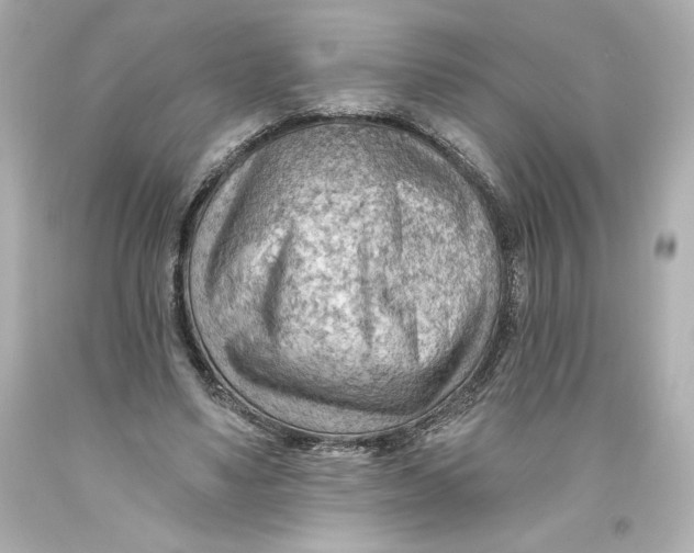 X0000093560491200711051040