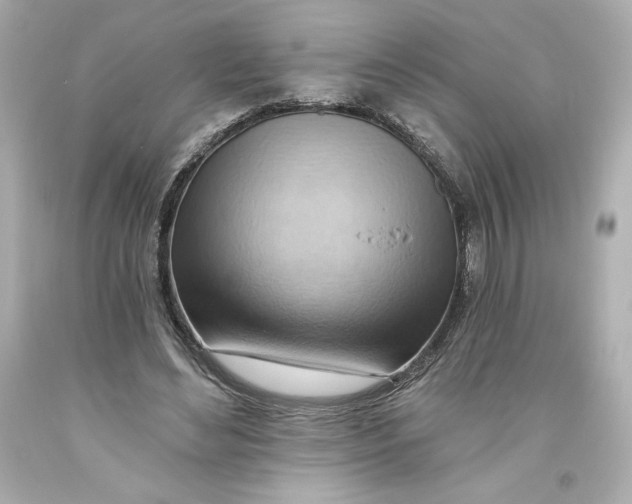 X0000093560492200711051040