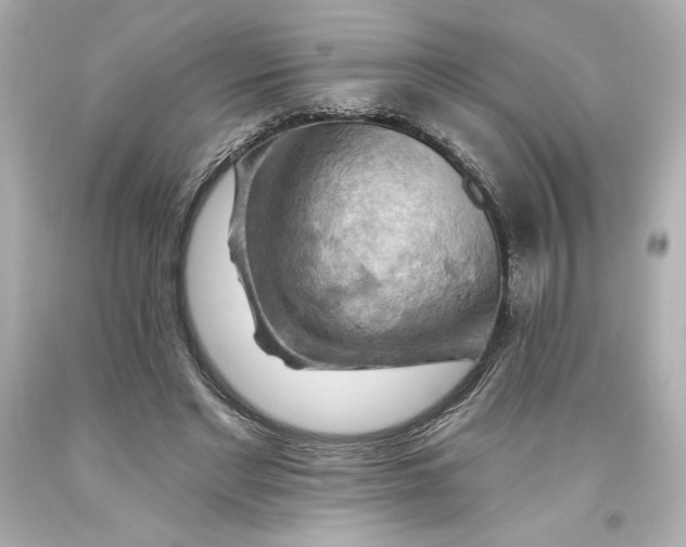 X0000093560493200711051040