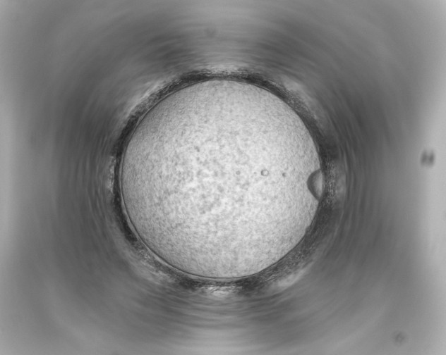 X0000093560495200711051040