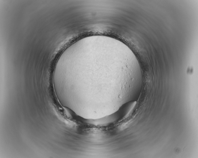 X0000093560496200711051040