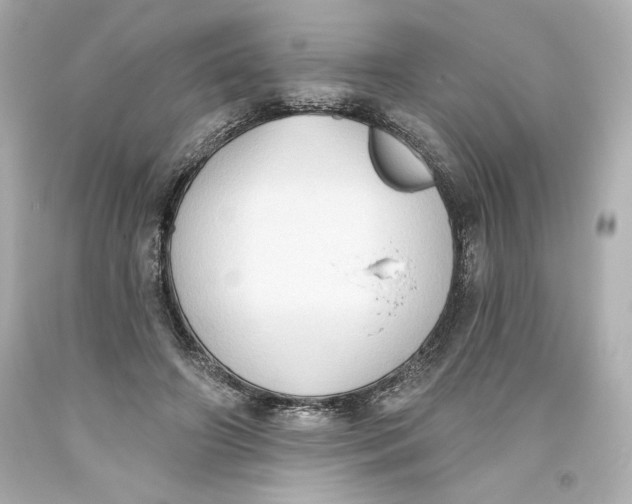 X0000093560498200711051040