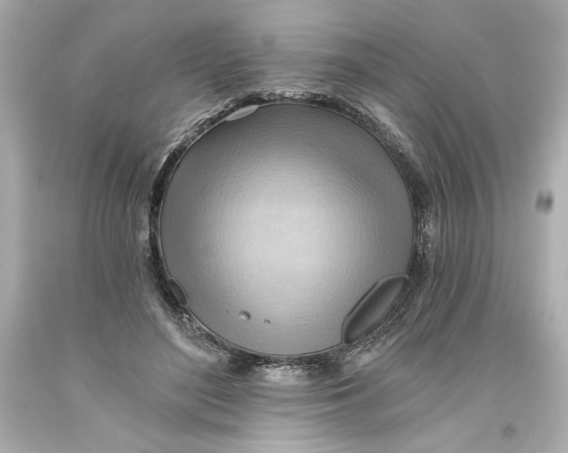 X0000093560500200711051040