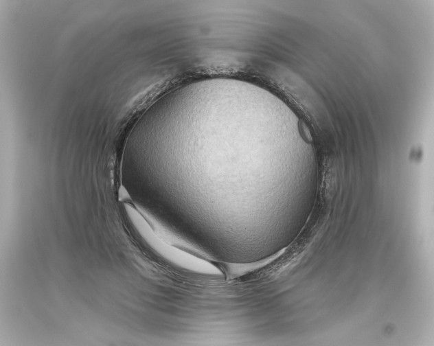 X0000093560501200711051040