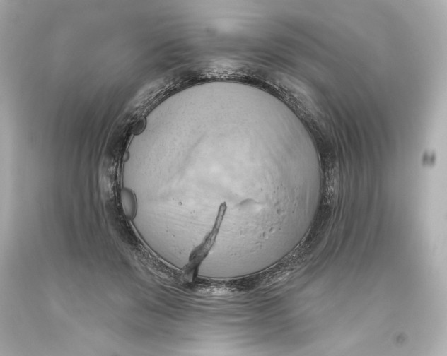 X0000093560503200711051040