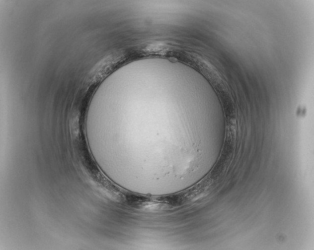 X0000093560504200711051040