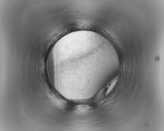 X0000093560508200711051040