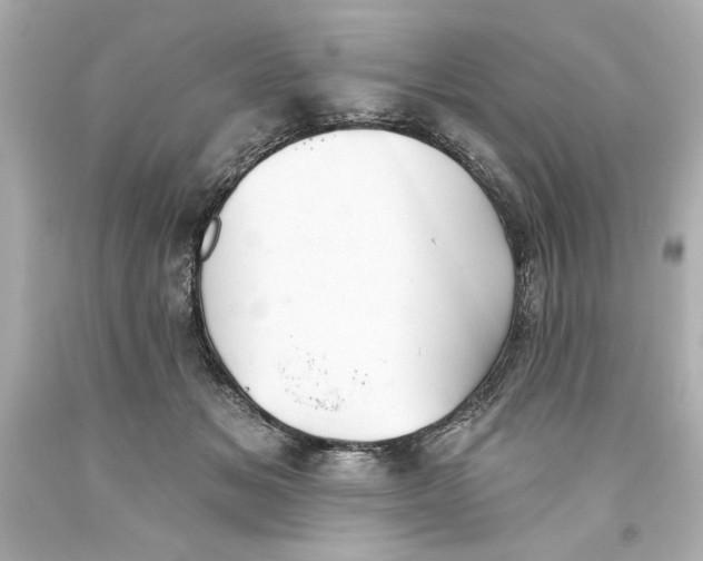 X0000093560509200711051040