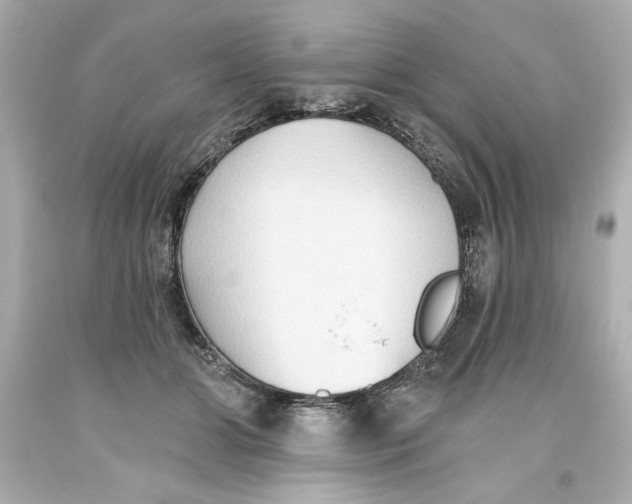 X0000093560510200711051040