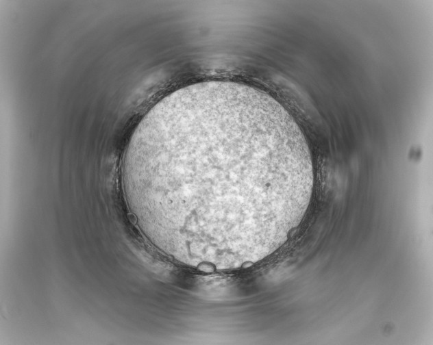 X0000093560511200711051040