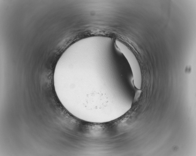 X0000093560513200711051040