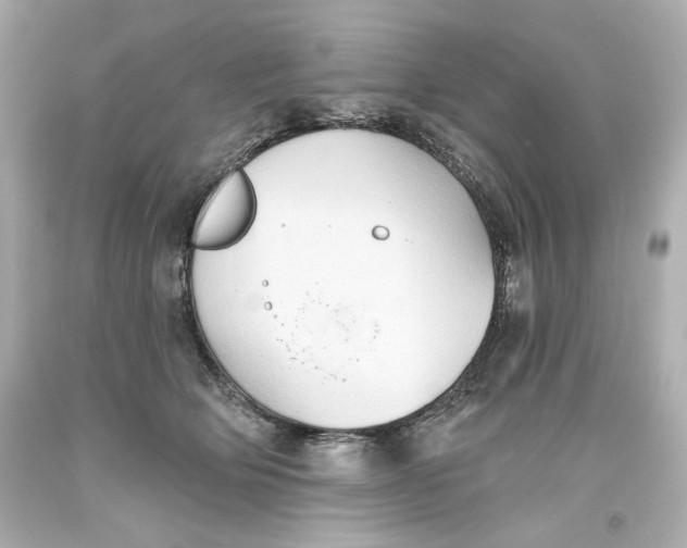 X0000093560514200711051040