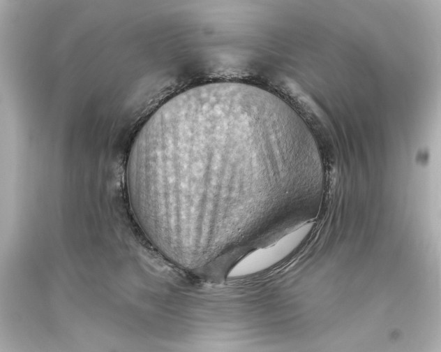 X0000093560517200711051040