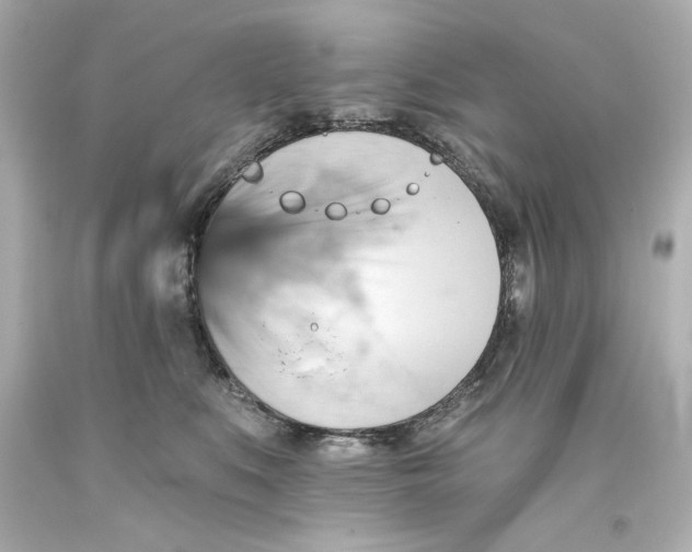 X0000093560519200711051040