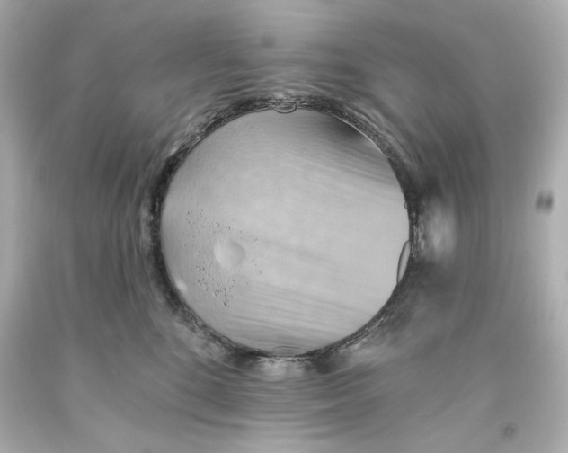 X0000093560520200711051040