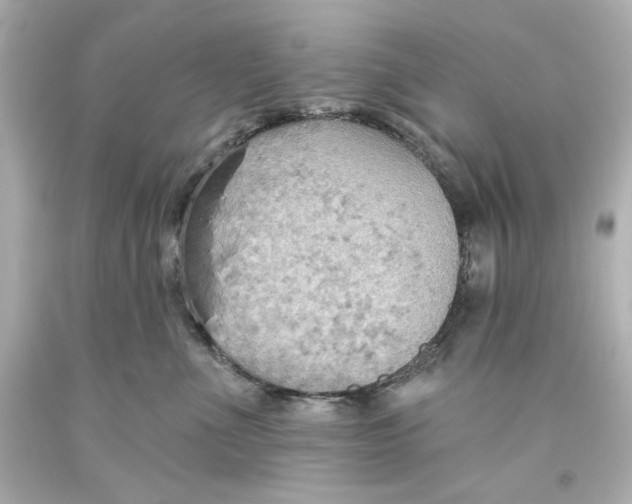 X0000093560523200711051040