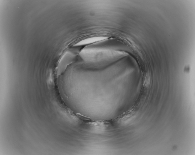 X0000093560524200711051040