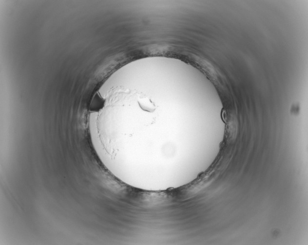 X0000093560525200711051040