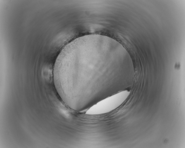 X0000093560527200711051040