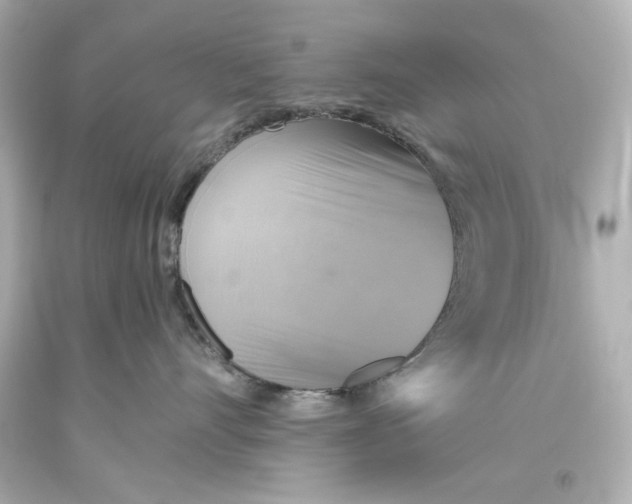 X0000093560528200711051040