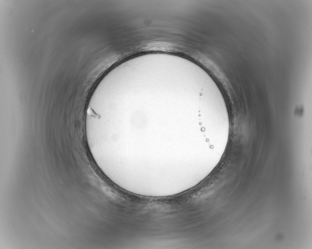 X0000093560529200711051039