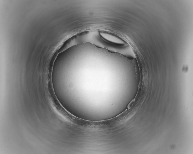 X0000093560530200711051039