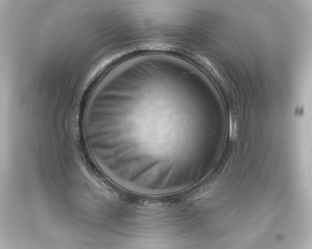 X0000093560531200711051039