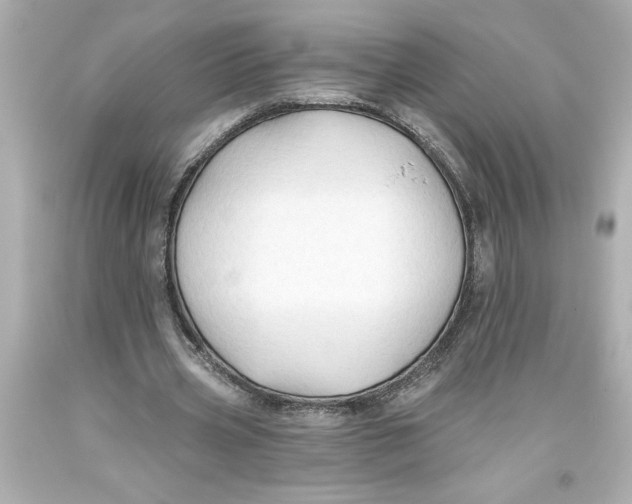 X0000093560533200711051039