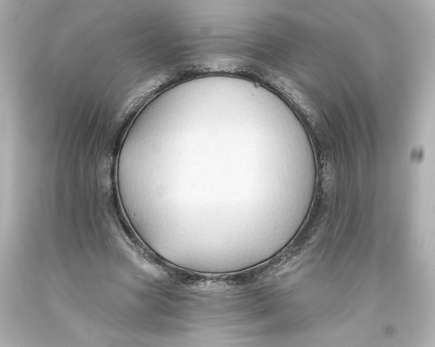 X0000093560537200711051039