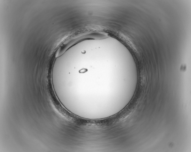 X0000093560538200711051039